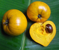 Eggfruit - Pouteria campechiana Fruit Plant