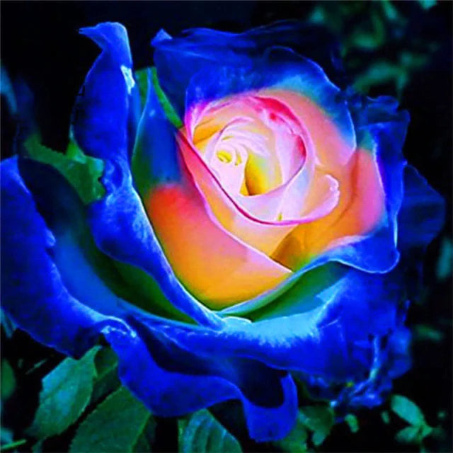 Rose " Variety : 18 " Exotic 20 Flower Seeds