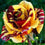 Rose " Variety : 15 " Exotic 20 Flower Seeds