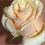 Rose " Variety : 16 " Exotic 20 Flower Seeds