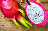 White Flesh Dragonfruit Plant